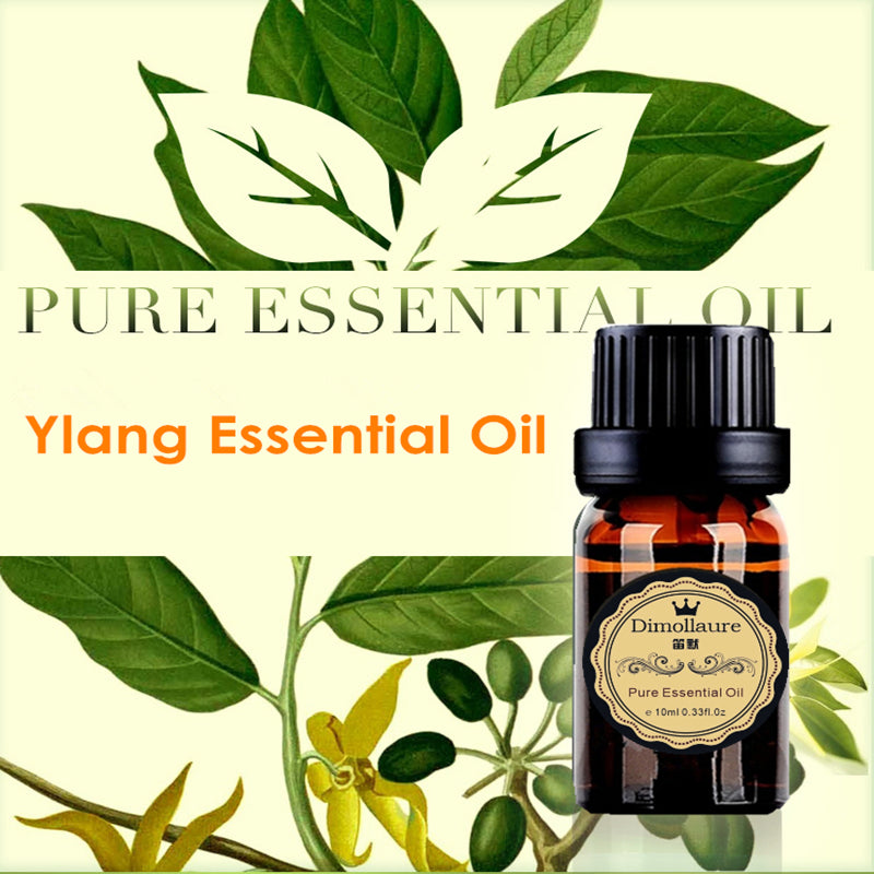 Dimollaure Ylang Essential Oil Aphrodisiac Skin Care Body Massage Oil