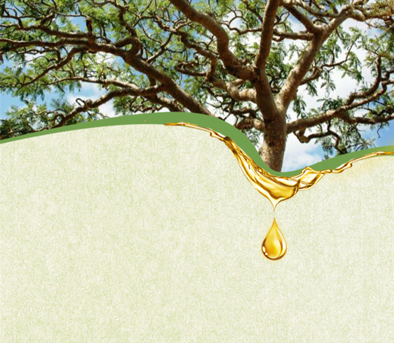 Dimollaure Frankincense Essential oil