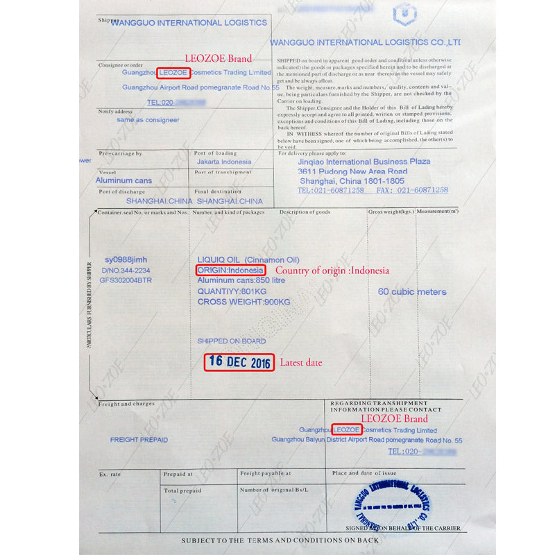 Well-Known Brand LEOZOE Cinnamon Leaf Essential Oil